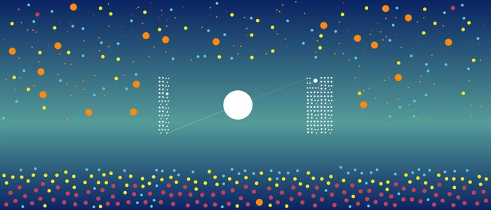 Image for 20100210