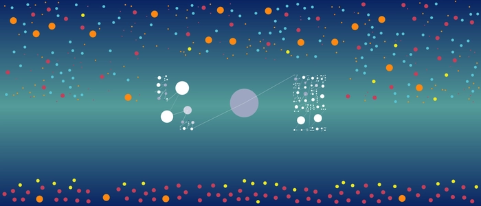 Image for 20101121