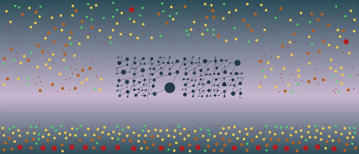 Image for 20200803