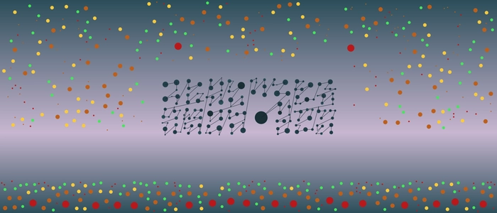 Image for 20200806