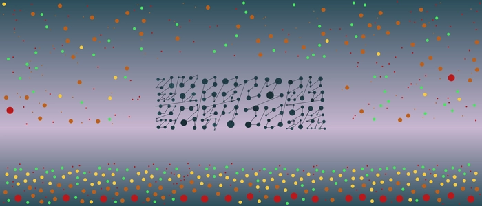 Image for 20200812