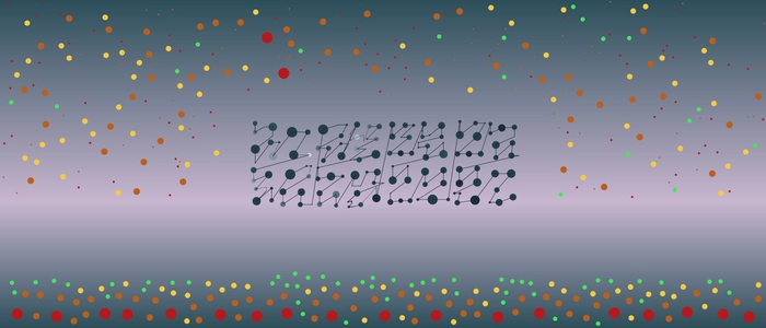 Image for 20200909