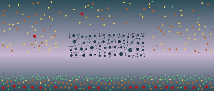 Image for 20201204