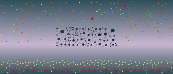 Image for 20201212
