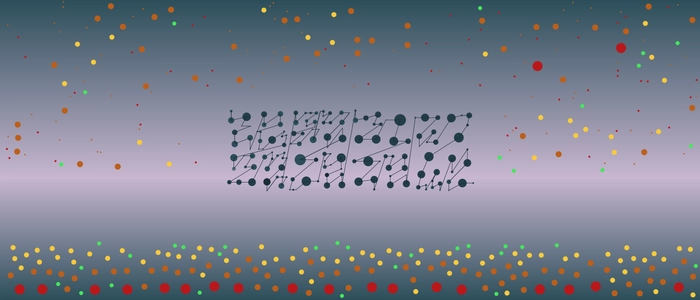 Image for 20210111