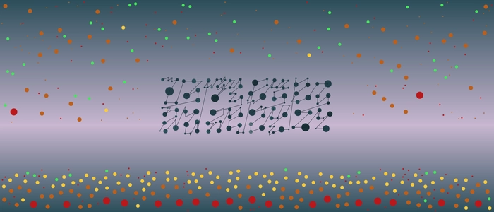 Image for 20210113