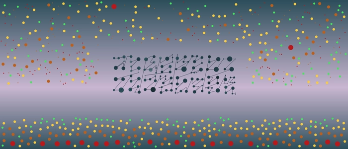 Image for 20210125
