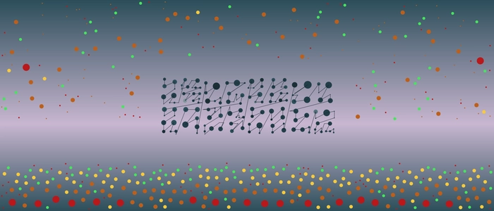 Image for 20210204
