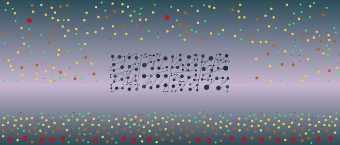 Image for 20210205