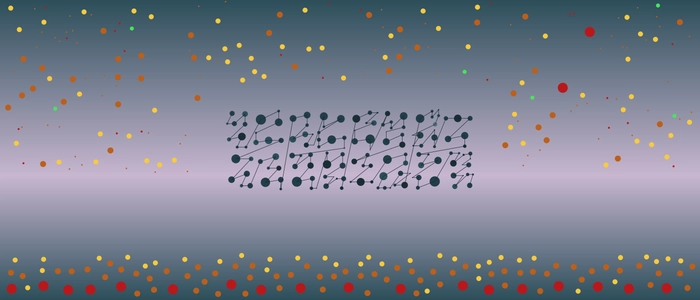 Image for 20210209