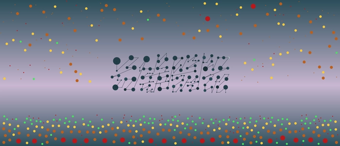 Image for 20210211