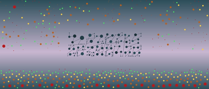Image for 20210213