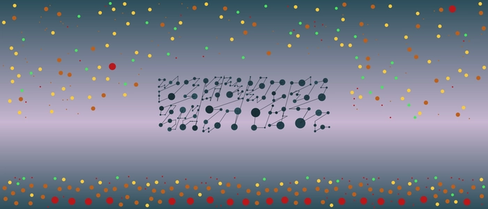 Image for 20210219
