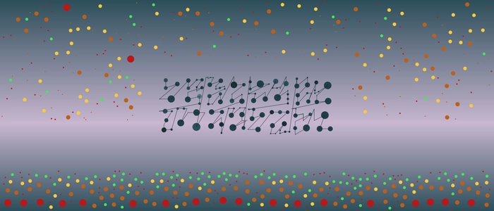 Image for 20210220