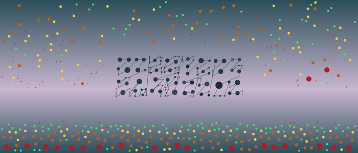Image for 20210221