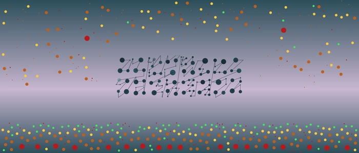 Image for 20210222