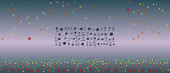 Image for 20210223