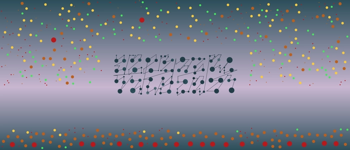 Image for 20210228