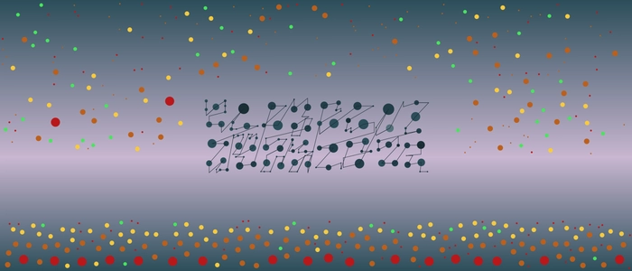 Image for 20210306