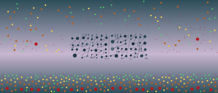 Image for 20210307