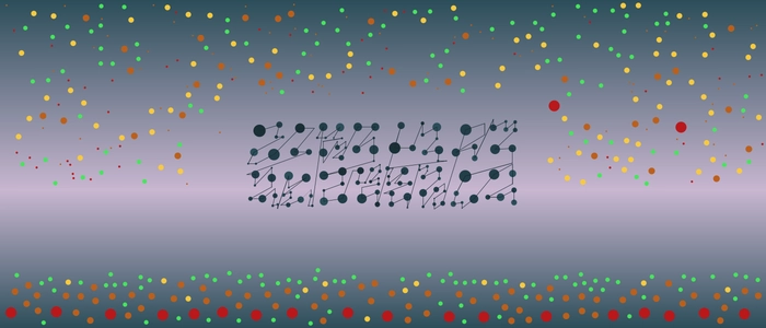 Image for 20210312
