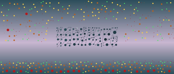 Image for 20210404
