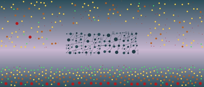 Image for 20210411