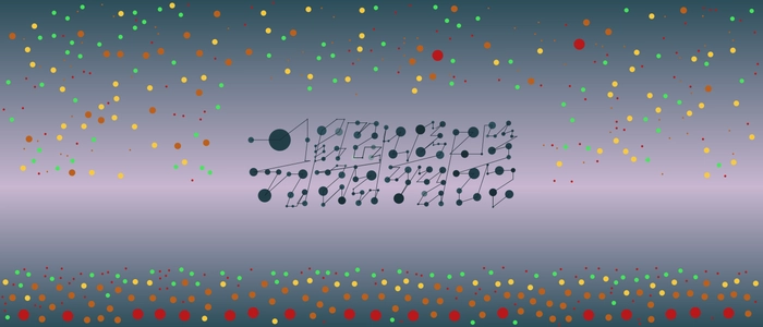 Image for 20210428