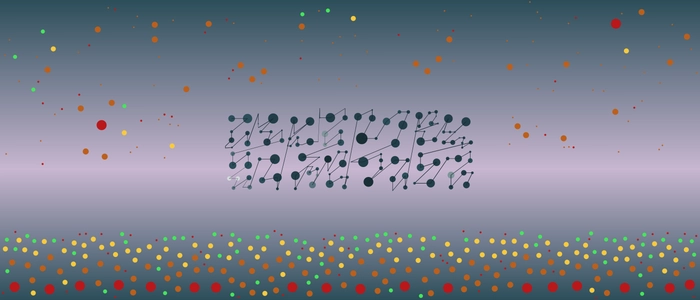 Image for 20210607