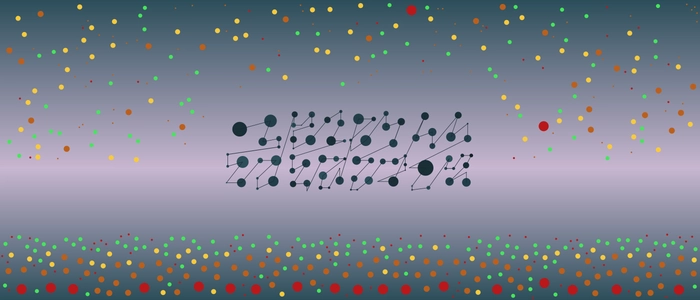 Image for 20210628