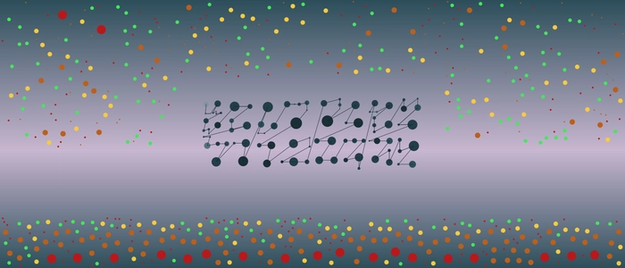 Image for 20210629