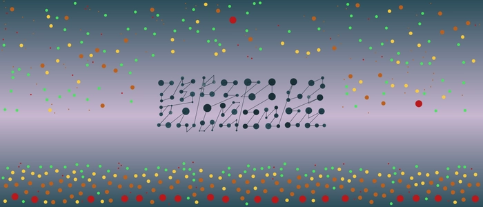 Image for 20210702