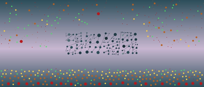 Image for 20210705