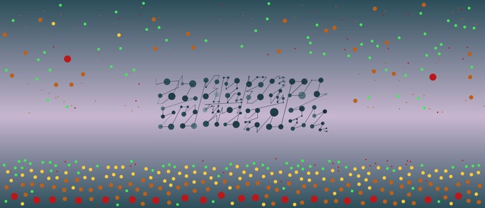Image for 20210706