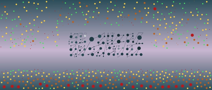 Image for 20210707