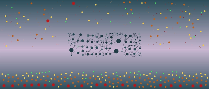 Image for 20210714