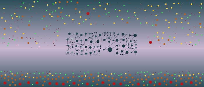 Image for 20210721