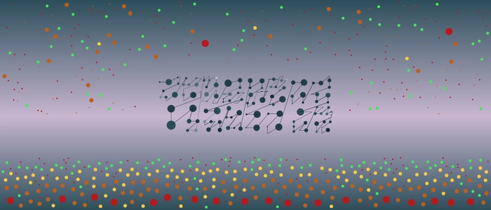 Image for 20210728