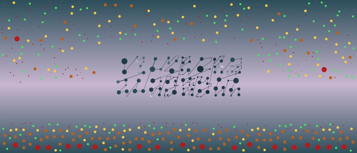 Image for 20210802