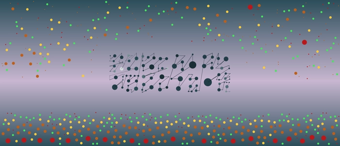 Image for 20210804