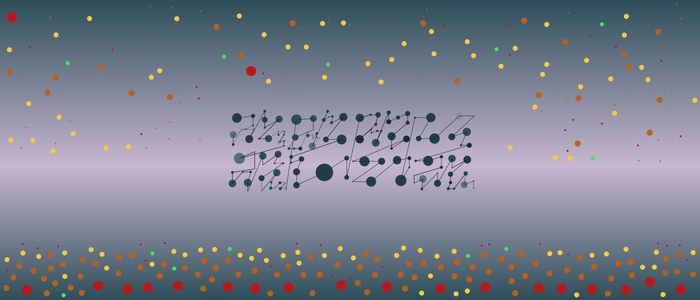 Image for 20210813
