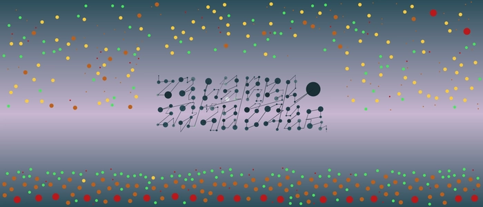 Image for 20210819