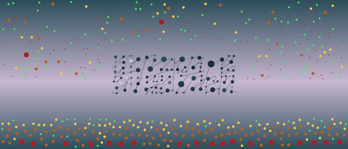 Image for 20210825