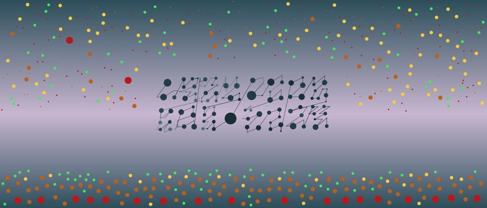 Image for 20210831