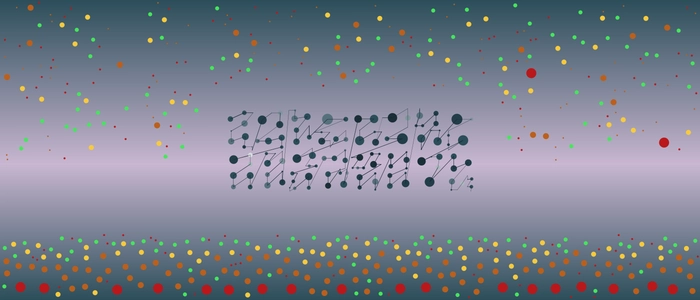 Image for 20210904