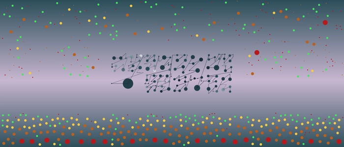 Image for 20210906