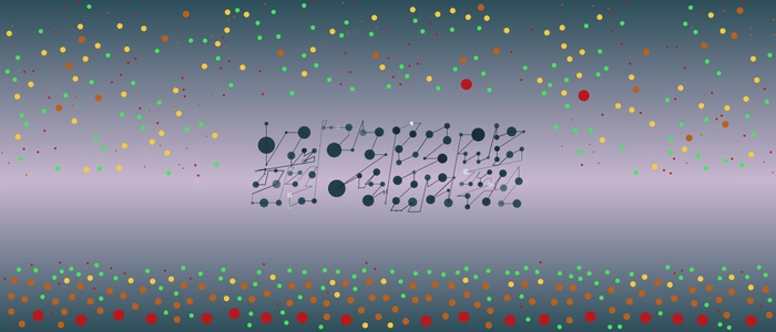 Image for 20210911