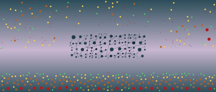 Image for 20210924