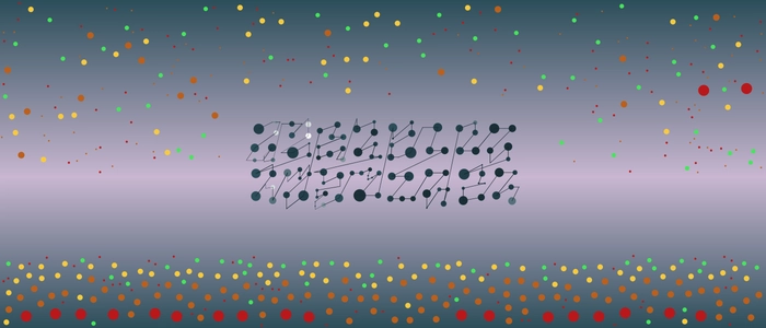 Image for 20211006