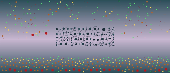 Image for 20211007